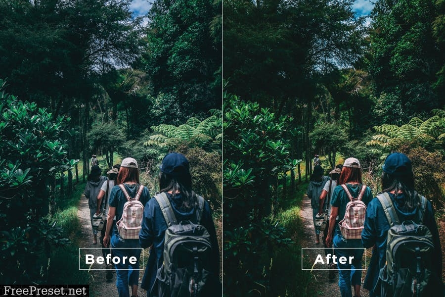 Trip Desktop and Mobile Lightroom Preset