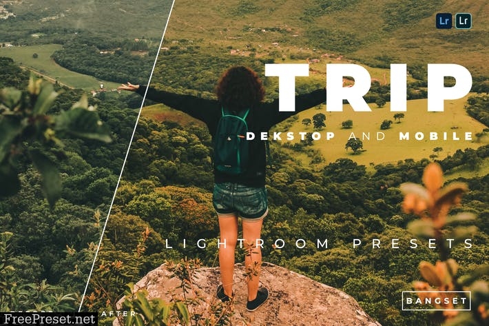 Trip Desktop and Mobile Lightroom Preset