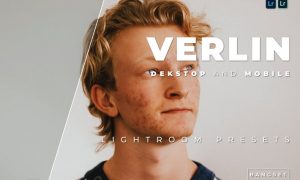 Verlin Desktop and Mobile Lightroom Preset