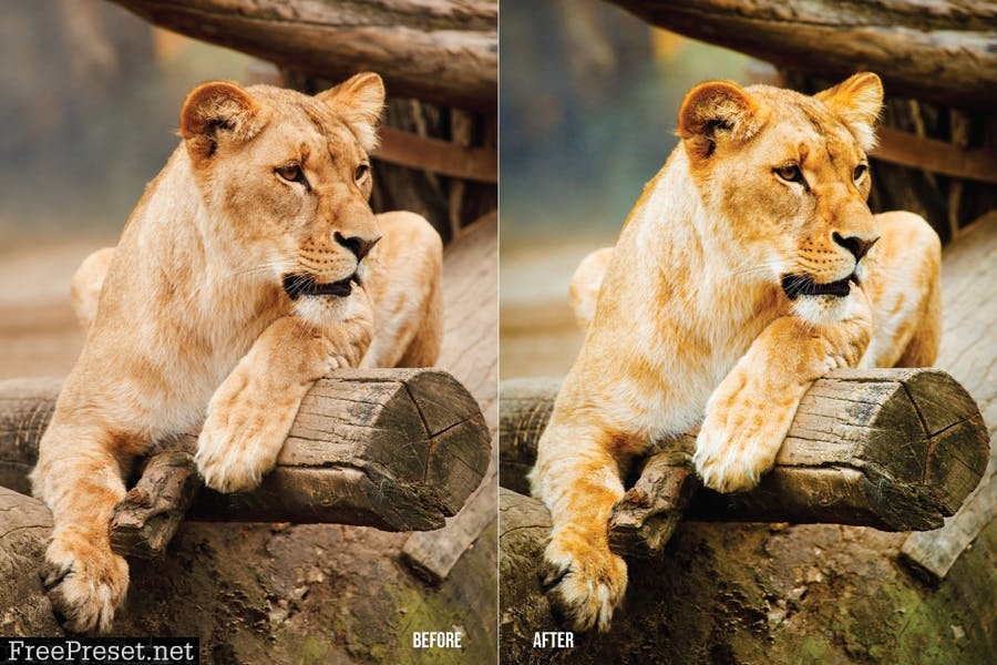 Wildlife Mobile and Desktop Lightroom Presets