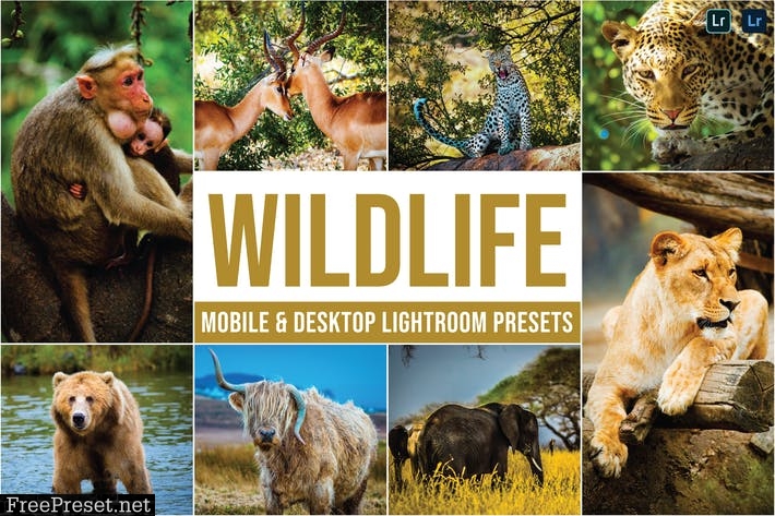 Wildlife Mobile and Desktop Lightroom Presets