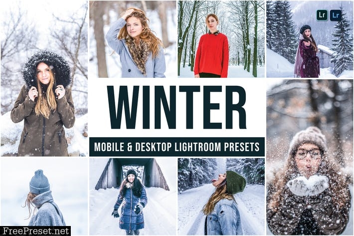 Winter Mobile and Desktop Lightroom Presets