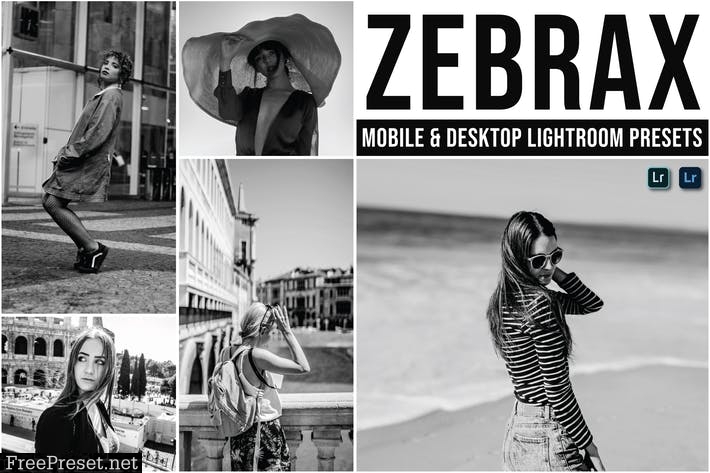 Zebrax Mobile and Desktop Lightroom Presets