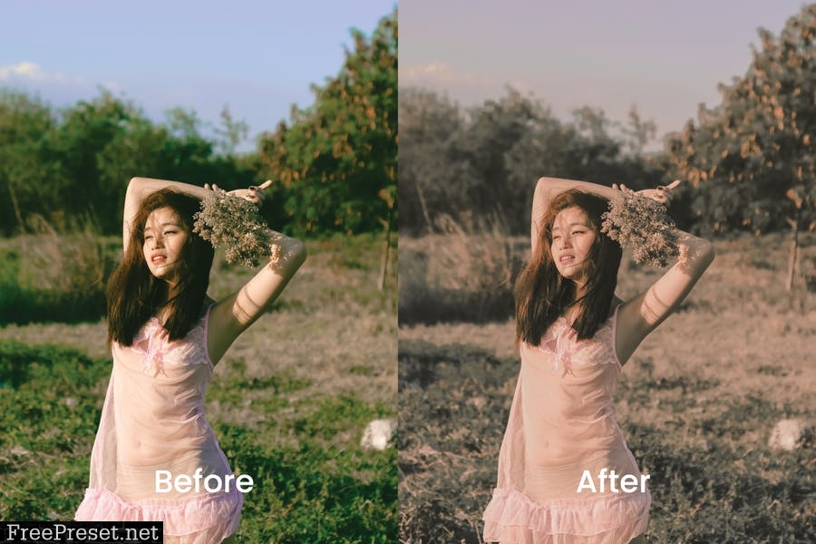 Aesthetics Lightroom Presets Dekstop and Mobile