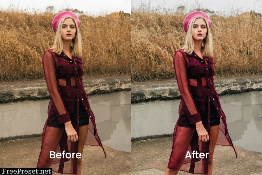 Aesthetics Lightroom Presets Dekstop and Mobile