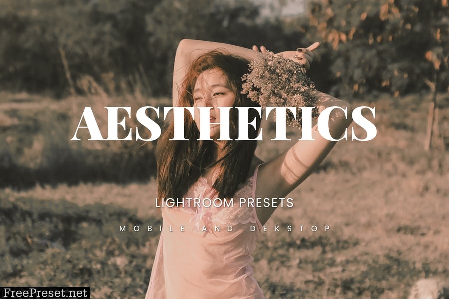 Aesthetics Lightroom Presets Dekstop and Mobile