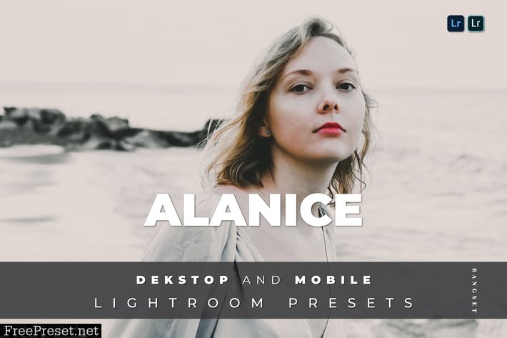 Alanice Desktop and Mobile Lightroom Preset