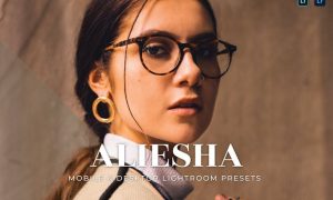 Aliesha Mobile and Desktop Lightroom Presets