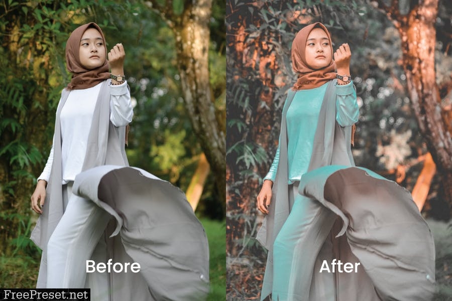 Alin Lightroom Presets Dekstop and Mobile