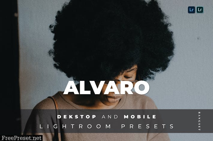 Alvaro Desktop and Mobile Lightroom Preset