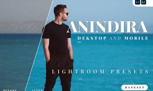 Anindira Desktop and Mobile Lightroom Preset