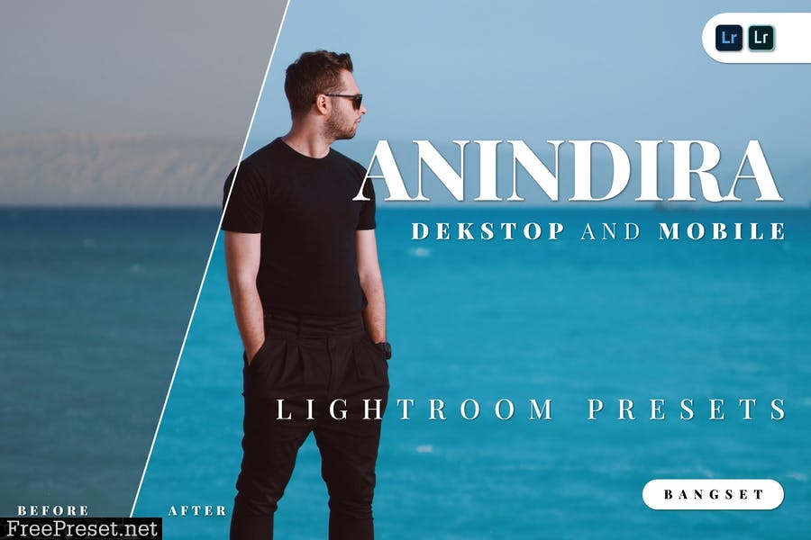 Anindira Desktop and Mobile Lightroom Preset