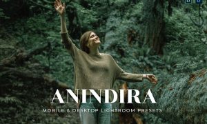 Anindira Mobile and Desktop Lightroom Presets