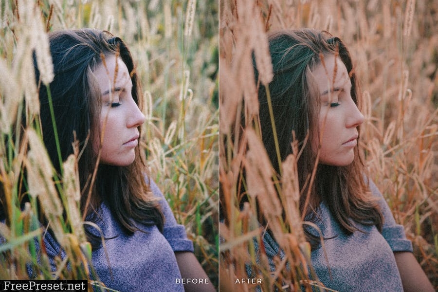 Annika Mobile and Desktop Lightroom Presets