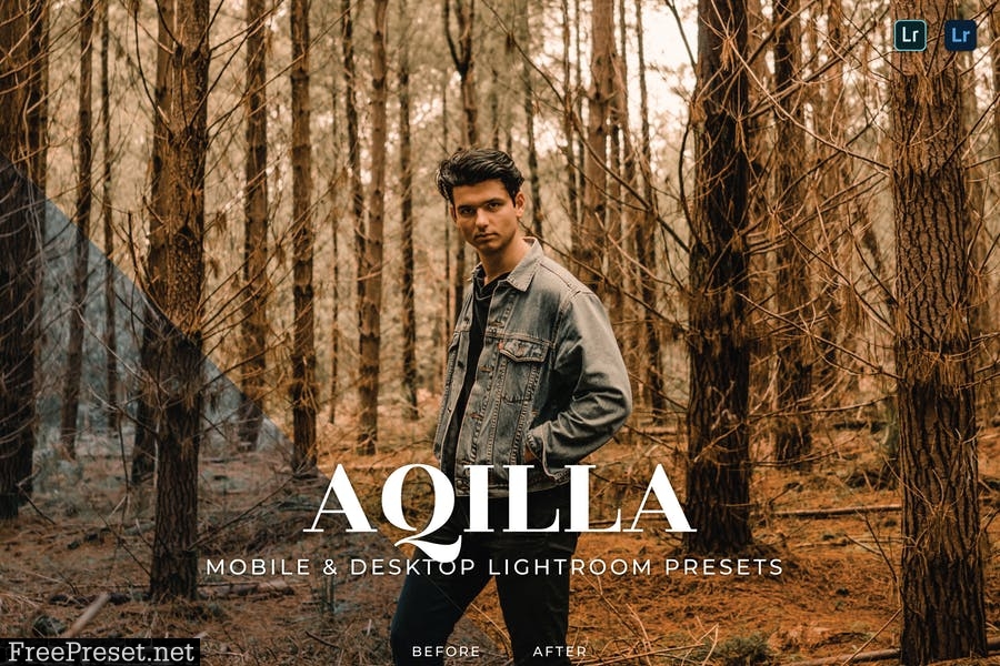 Aqilla Mobile and Desktop Lightroom Presets