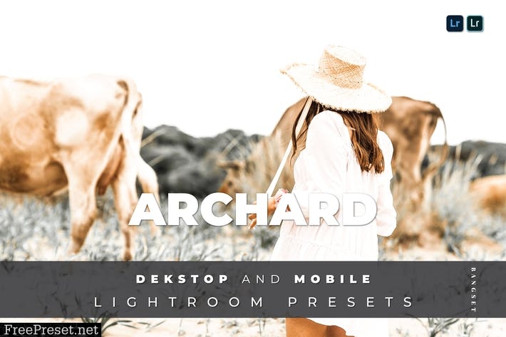 Archard Desktop and Mobile Lightroom Preset