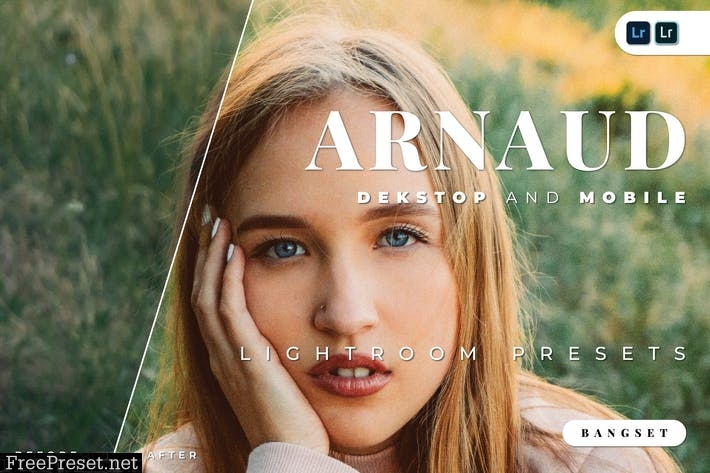 Arnaud Desktop and Mobile Lightroom Preset