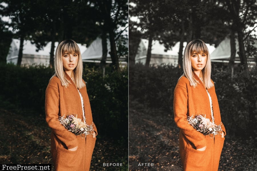 Ayung Mobile and Desktop Lightroom Presets