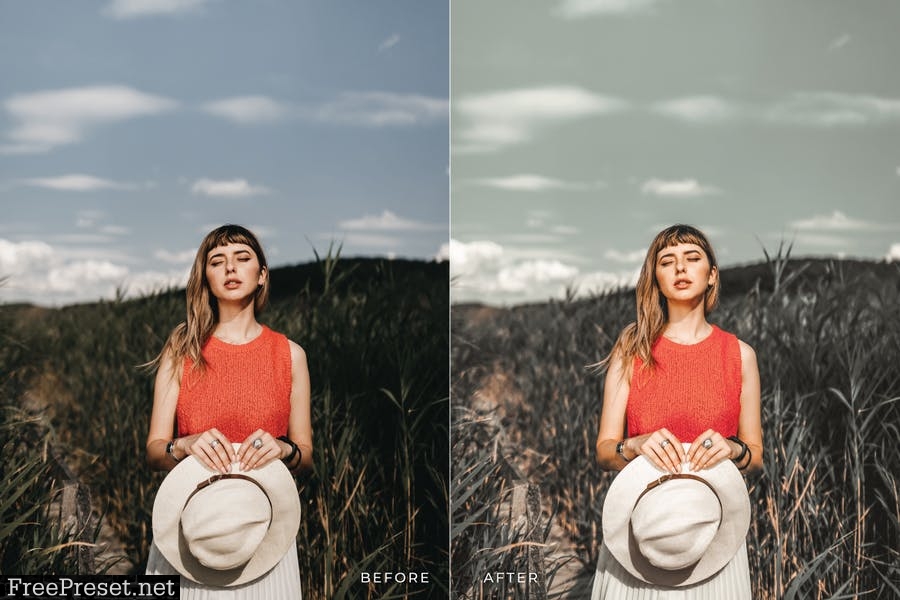 Ayung Mobile and Desktop Lightroom Presets