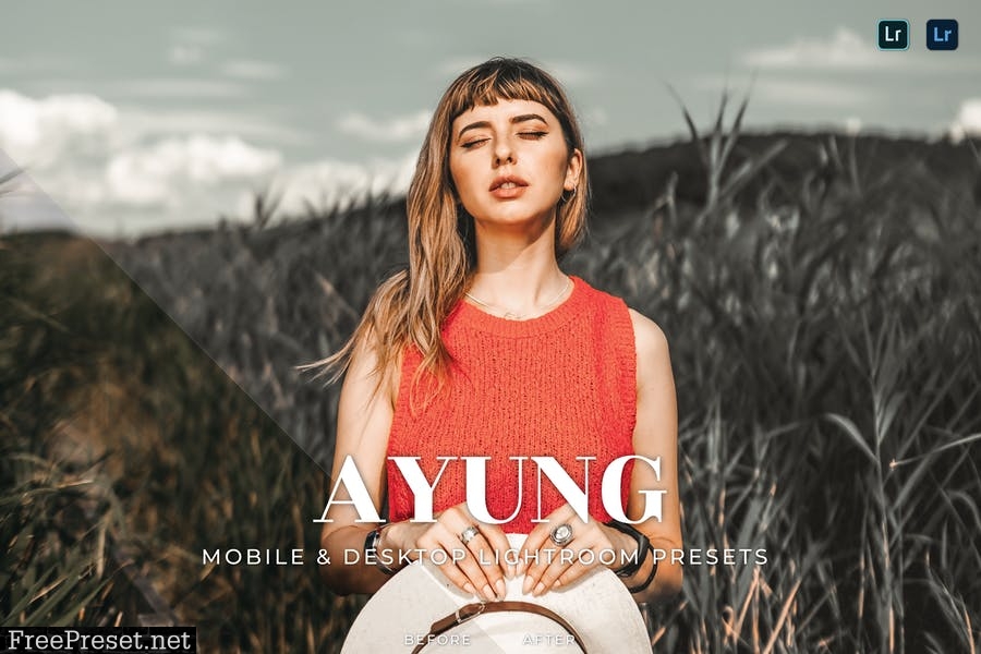 Ayung Mobile and Desktop Lightroom Presets