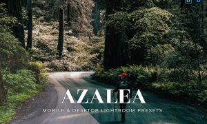 Azalea Mobile and Desktop Lightroom Presets