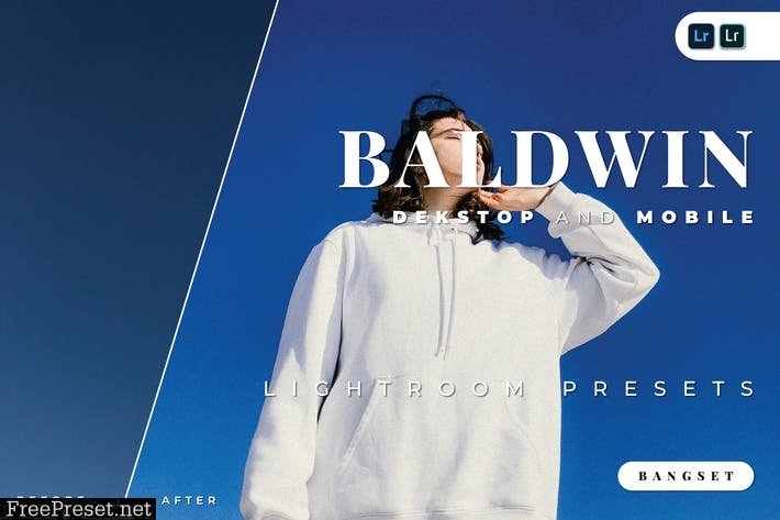 Baldwin Desktop and Mobile Lightroom Preset