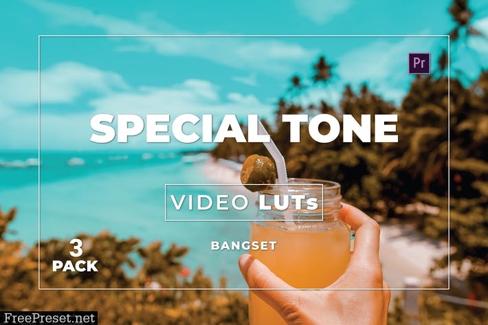 Bangset Special Tone Pack 3 Video LUTs