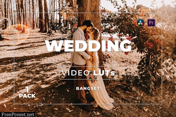 Bangset Wedding Pack 1 Video LUTs