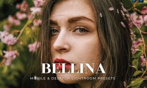 Bellina Mobile and Desktop Lightroom Presets