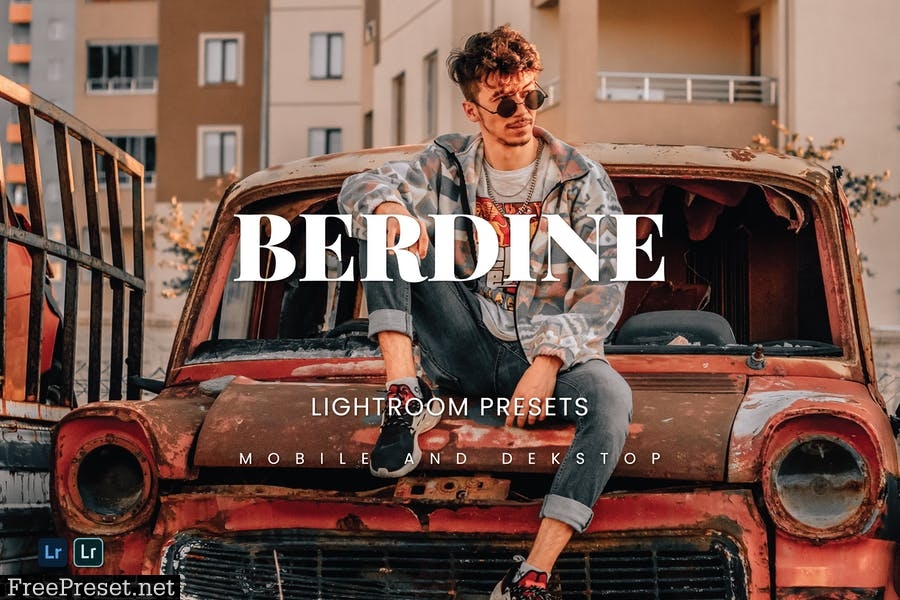 Berdine Lightroom Presets Dekstop and Mobile