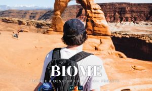 Biome Mobile and Desktop Lightroom Presets
