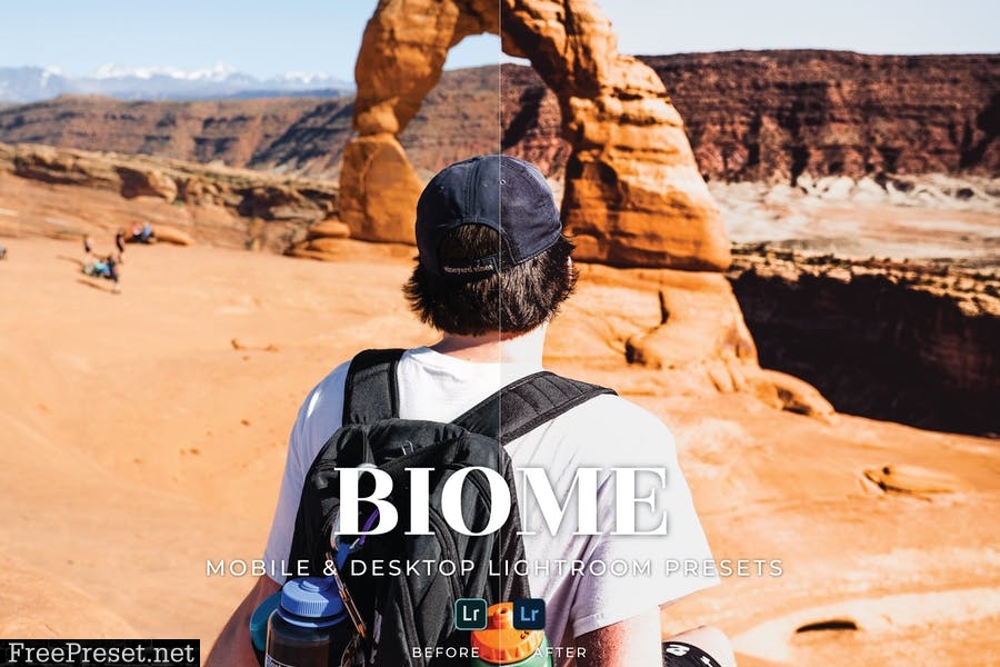 Biome Mobile and Desktop Lightroom Presets