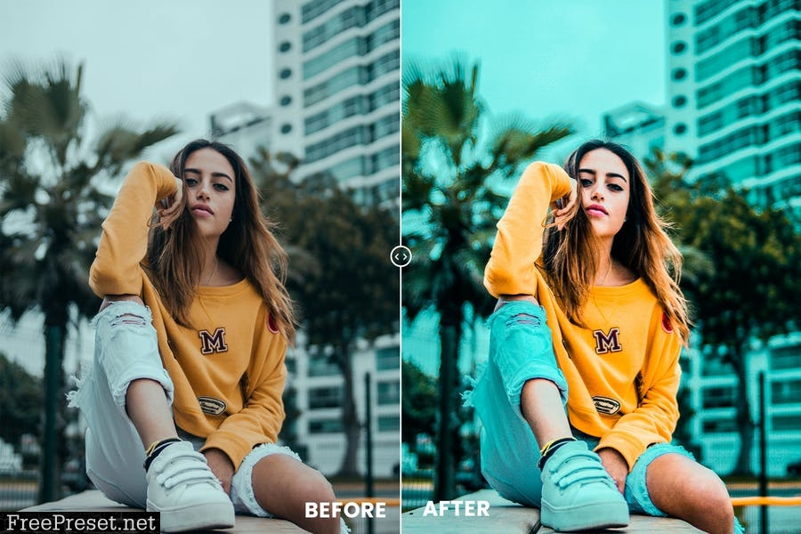 Bright Flex Photoshop Action & Lightrom Presets