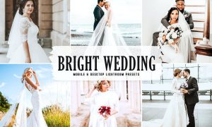 Bright Wedding Mobile & Desktop Lightroom Presets