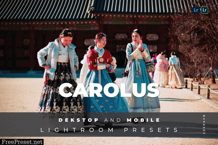 Carolus Desktop and Mobile Lightroom Preset