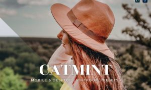 Catmint Mobile and Desktop Lightroom Presets