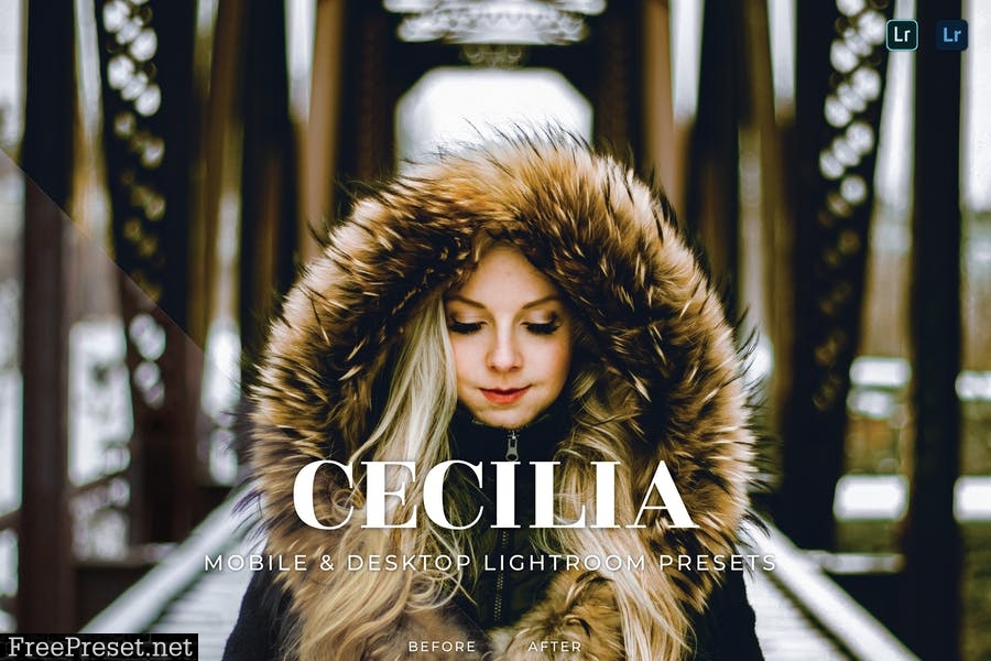 Cecilia Mobile and Desktop Lightroom Presets