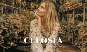 Celosia Mobile and Desktop Lightroom Presets