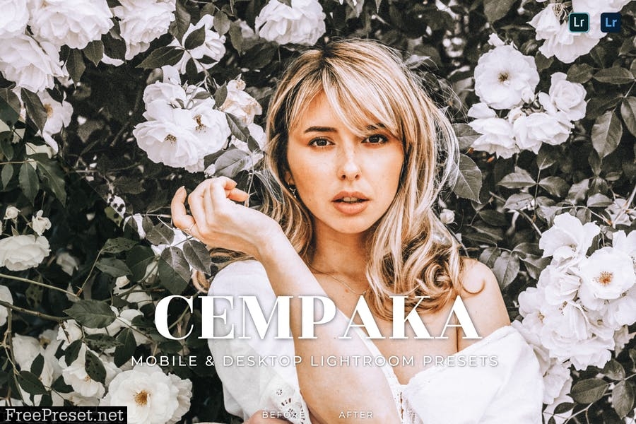 Cempaka Mobile and Desktop Lightroom Presets