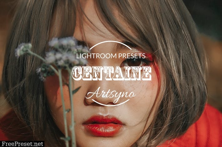 Centaine Lightroom Presets Dekstop and Mobile