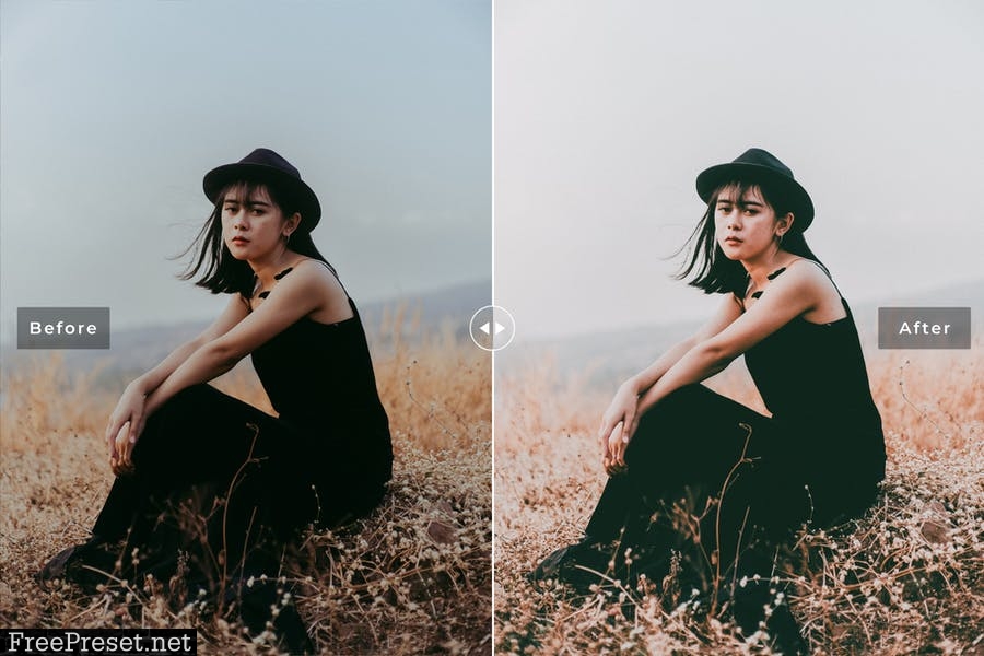 Cine Look Mobile & Desktop Lightroom Presets