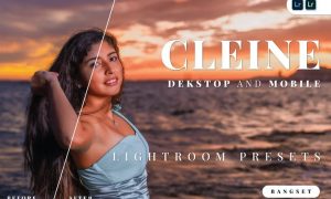 Cleine Desktop and Mobile Lightroom Preset