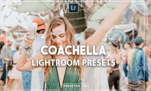 Coachella Lightroom Presets
