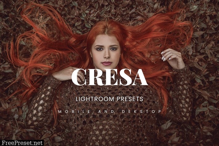 Cresa Lightroom Presets Dekstop and Mobile