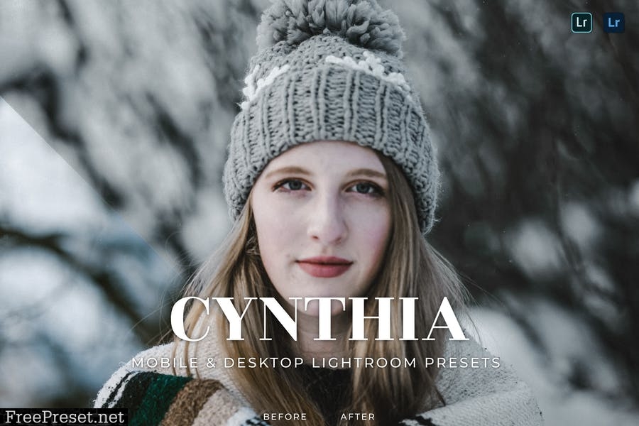 Cynthia Mobile and Desktop Lightroom Presets