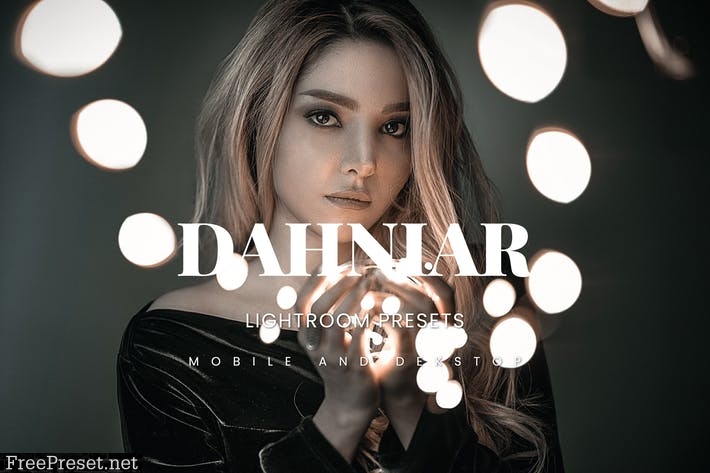 Dahniar Lightroom Presets Dekstop and Mobile