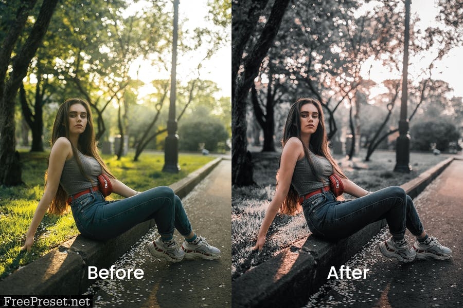 Dakota Lightroom Presets Dekstop and Mobile