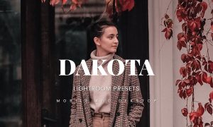 Dakota Lightroom Presets Dekstop and Mobile