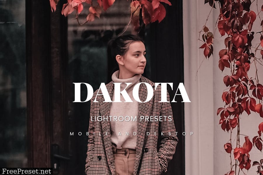 Dakota Lightroom Presets Dekstop and Mobile