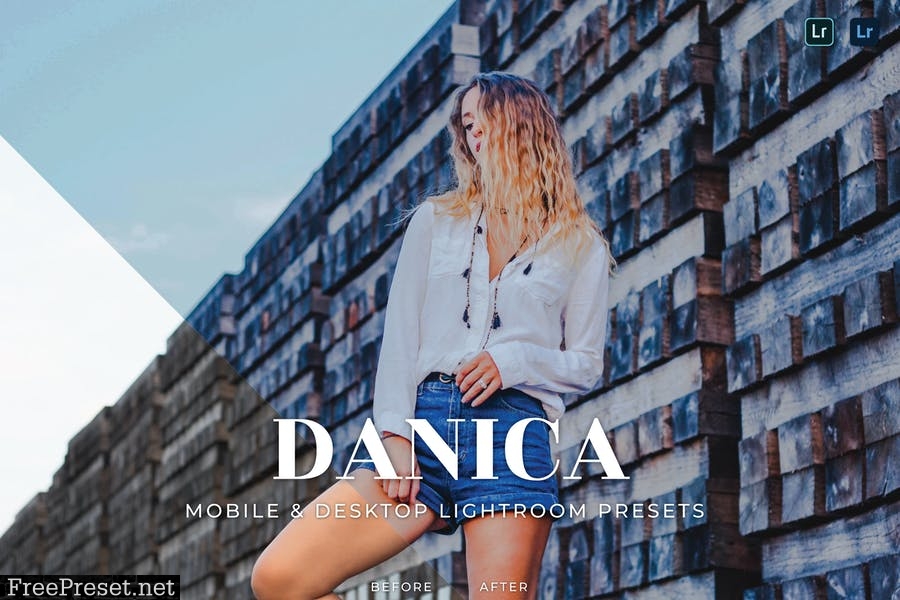 Danica Mobile and Desktop Lightroom Presets